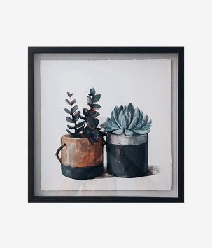 Succulent Pastel Pots